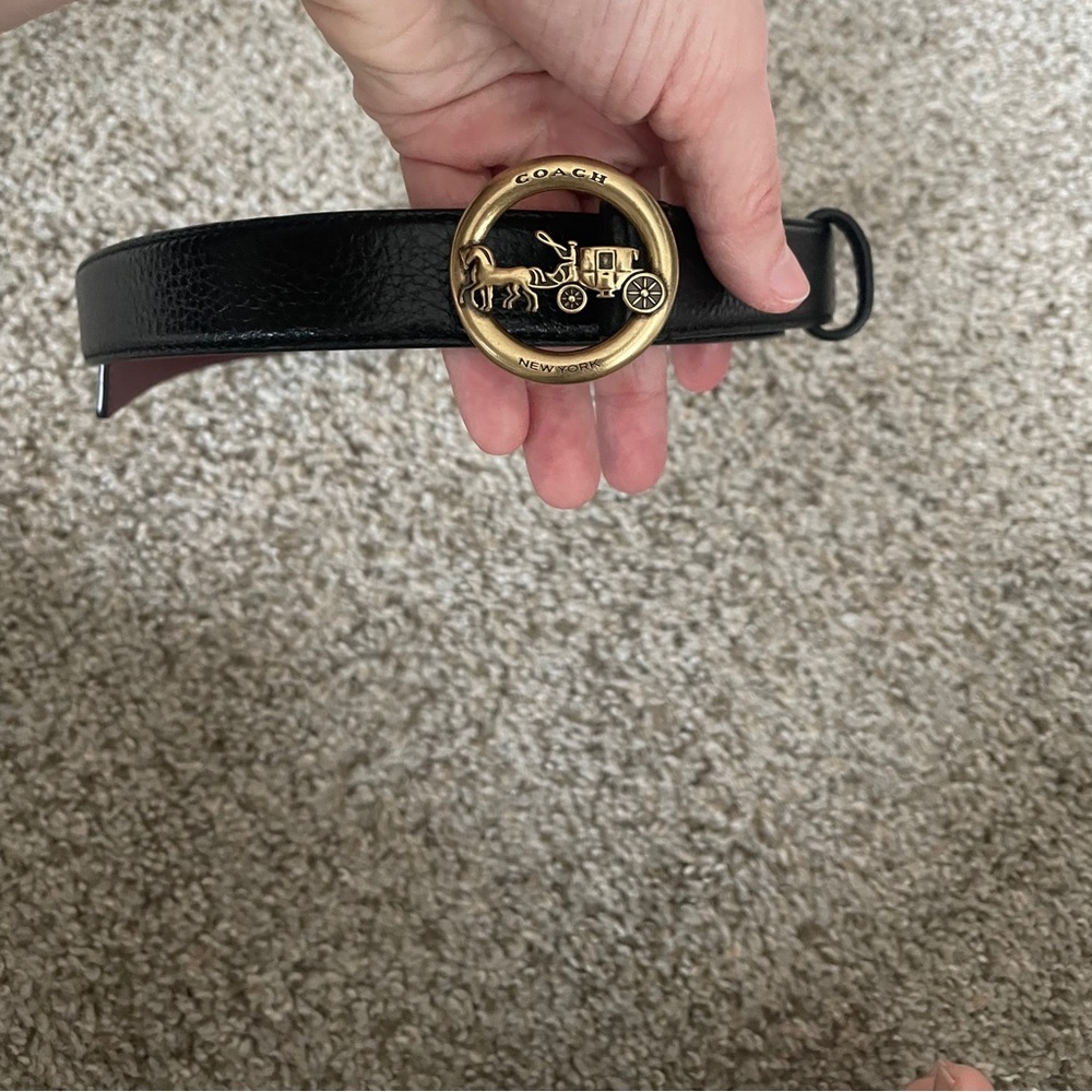 Coat Belt